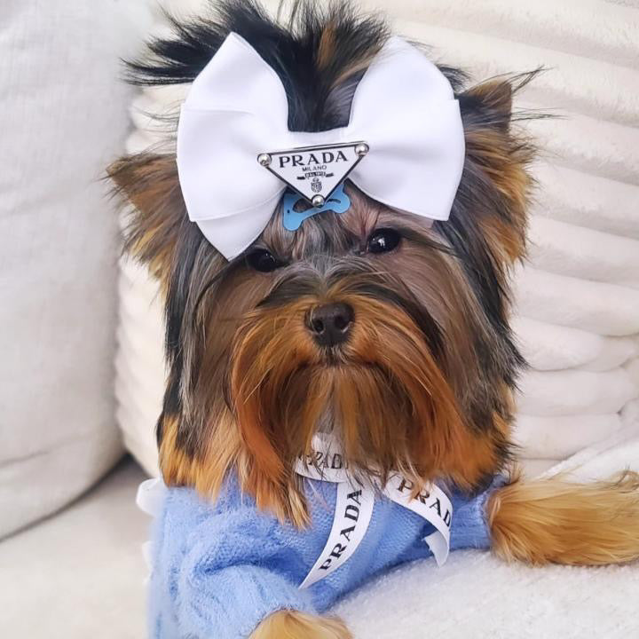 Pa Lu Bow Hair Accessories