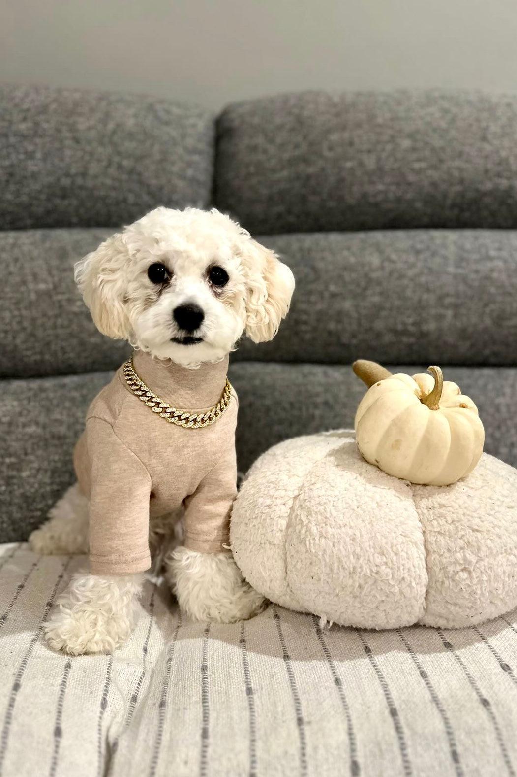The Basics Soft Stretchy Everyday Dog Top