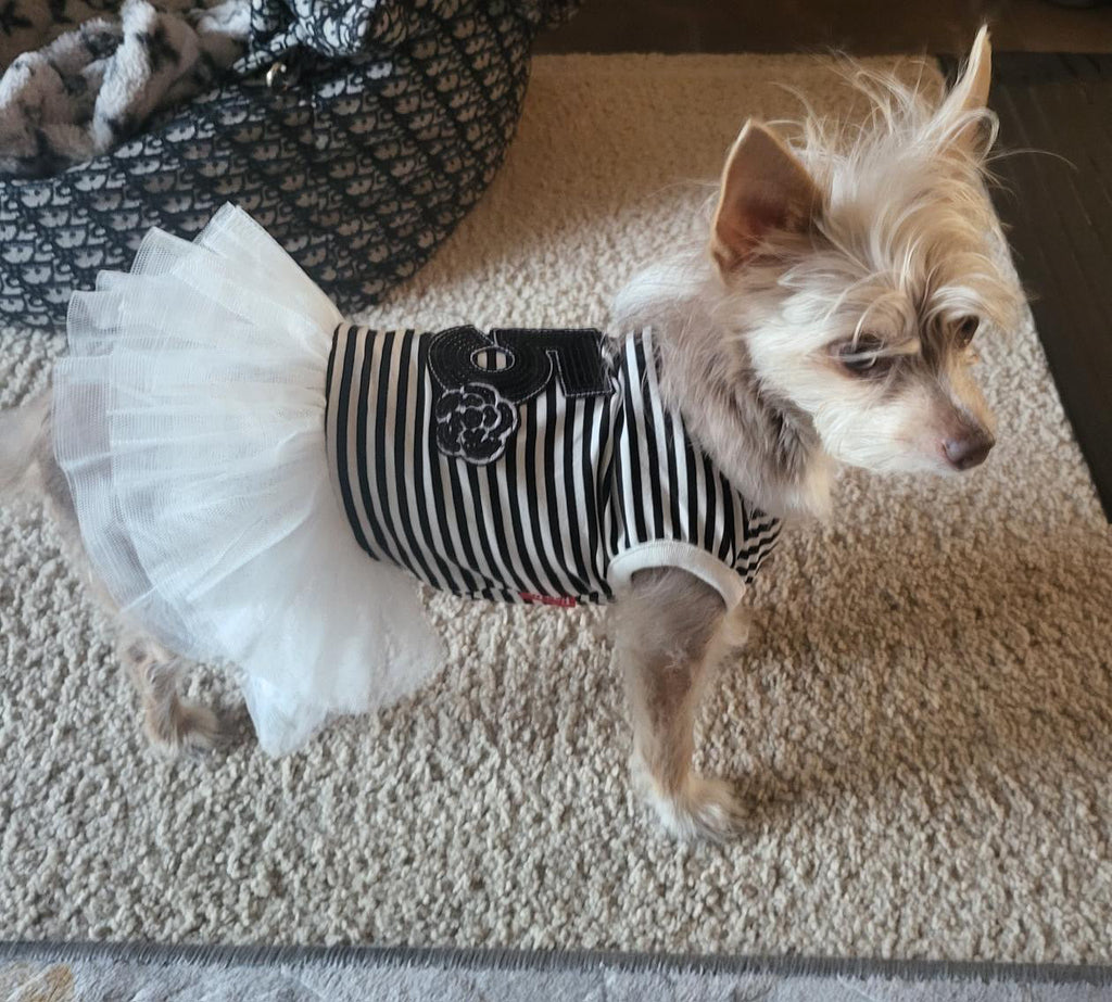 Chewnel Tu Dress
