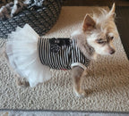 Chewnel Tu Dress