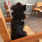 New Black Down Cotton Jacket face 044