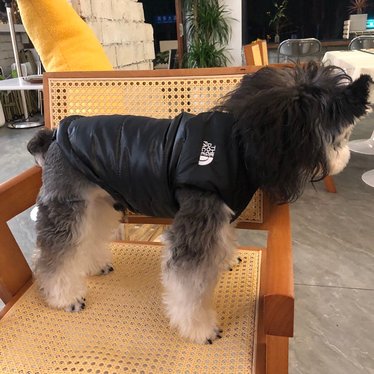 New Black Down Cotton Jacket face 044