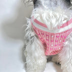 C Pink Sweater 055