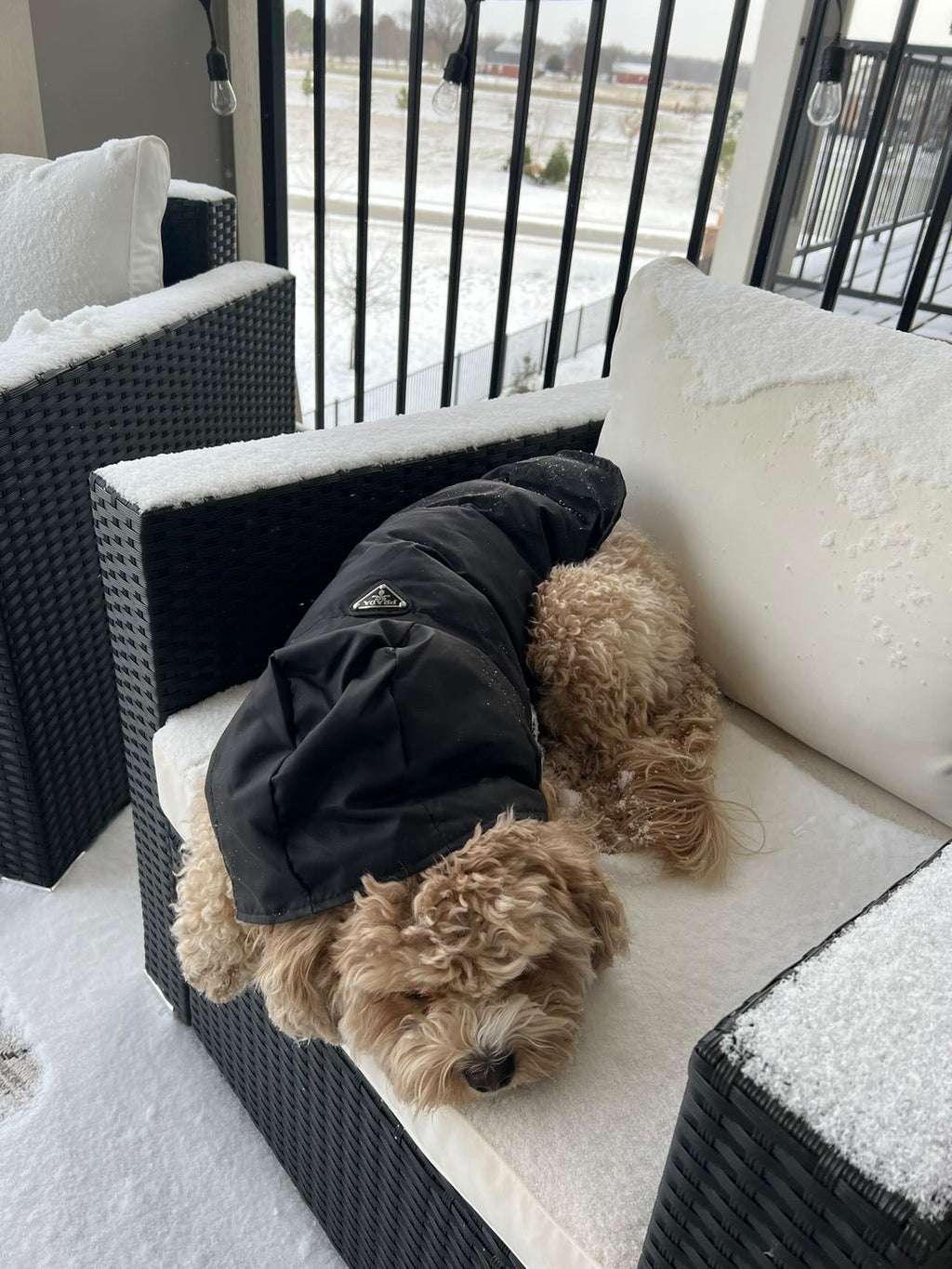 Pa Puffer Vest jacket