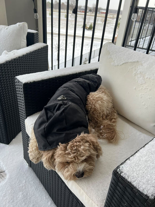 Pa Puffer Vest jacket