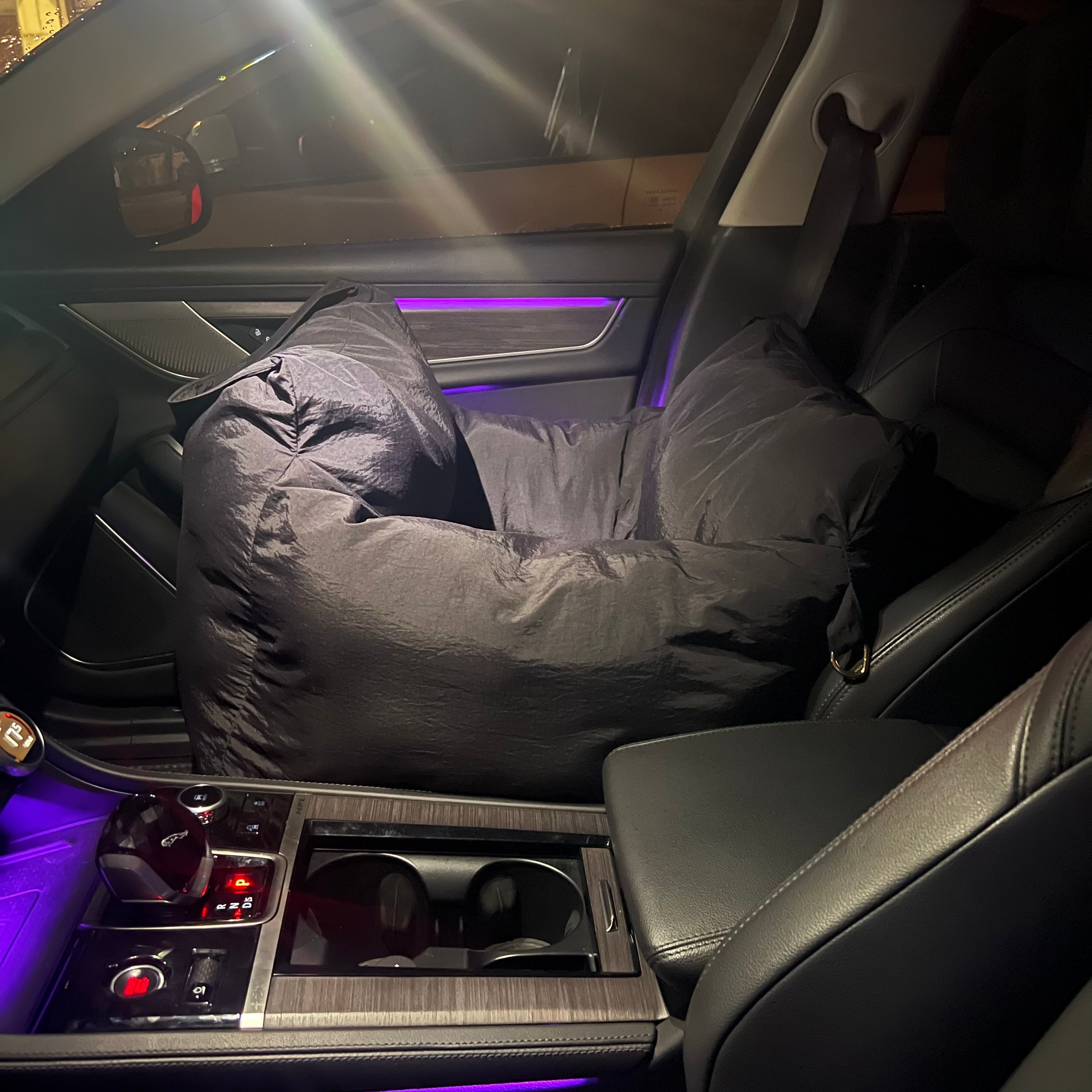 P car-mounted dog crate Pet bed