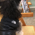 New Black Down Cotton Jacket face 044