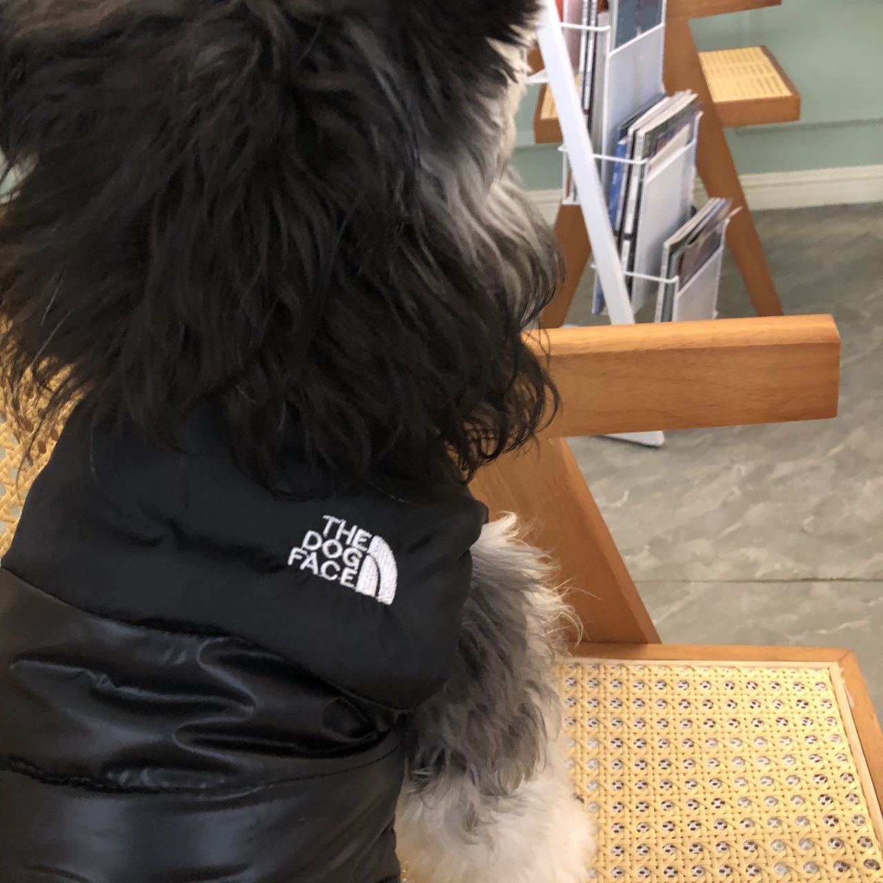New Black Down Cotton Jacket face 044