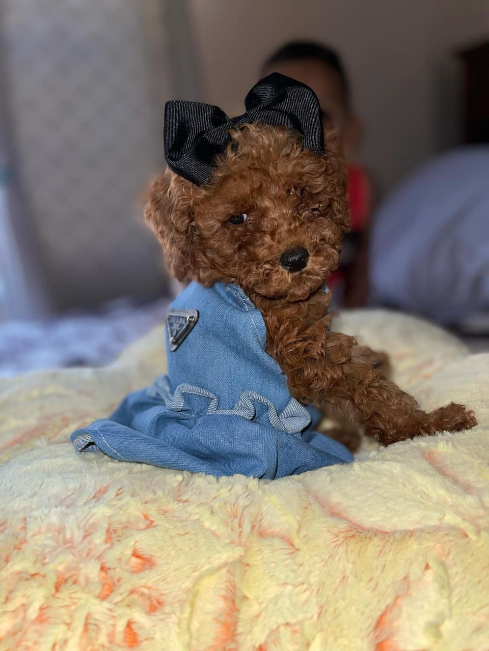 Pa Denim Dress