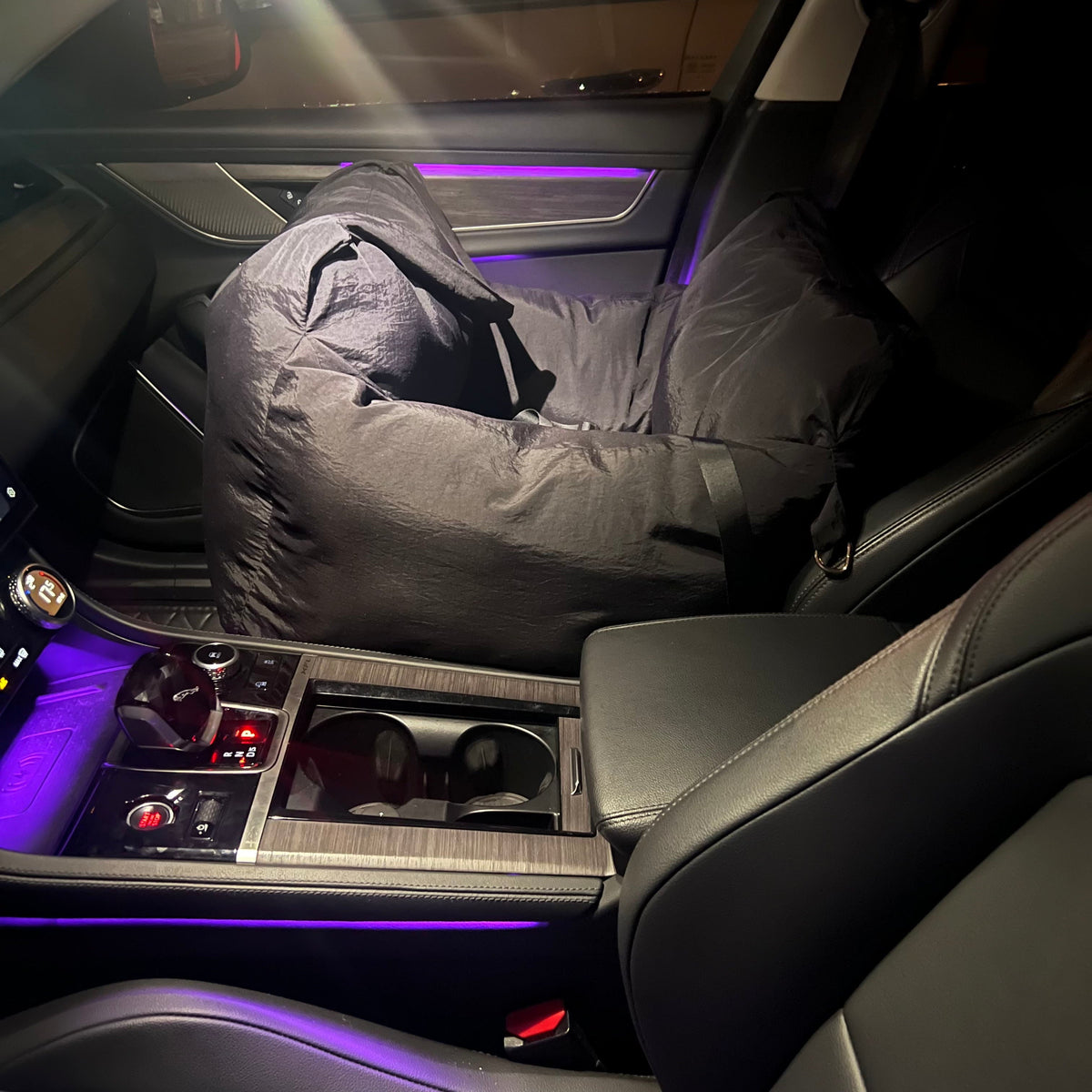 P car-mounted dog crate Pet bed