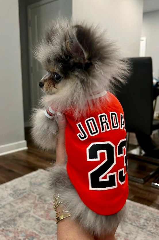 Game Time Jersey Top