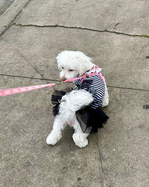 Chewnel Tu Dress