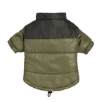 New Two-Tone Dog Face Jacket