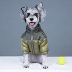 New Two-Tone Dog Face Jacket
