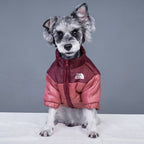New Two-Tone Dog Face Jacket