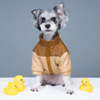 New Two-Tone Dog Face Jacket