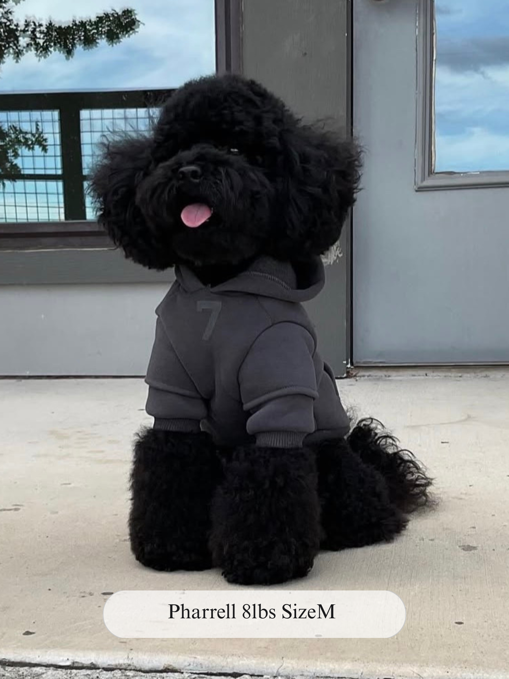 Fearless of Dog Hoodies