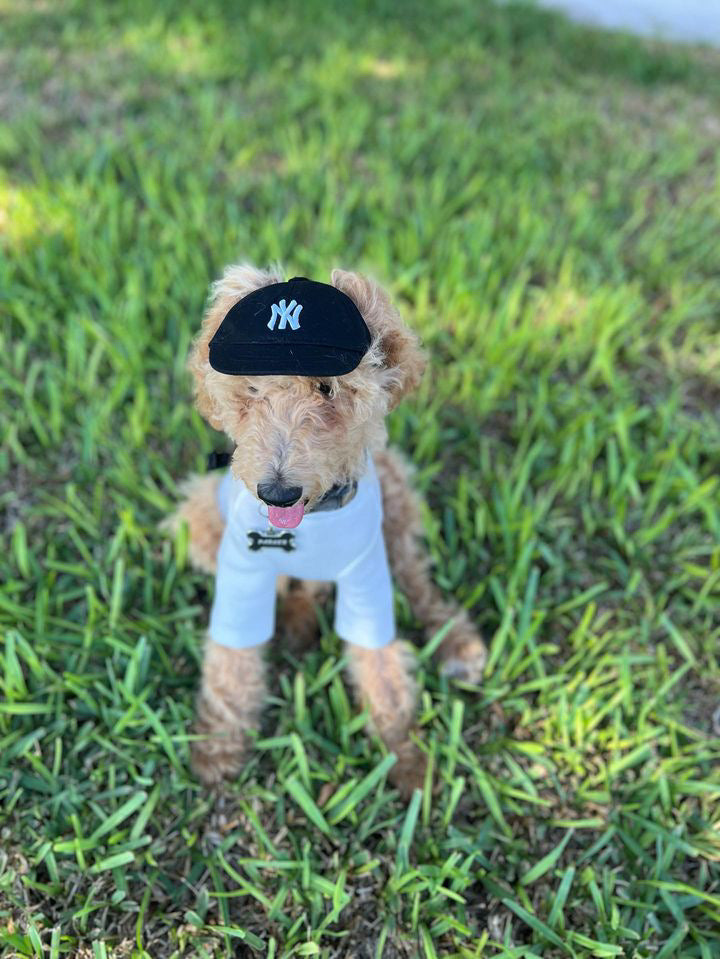 The Basics Soft Stretchy Everyday Dog Top