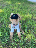 The Basics Soft Stretchy Everyday Dog Top