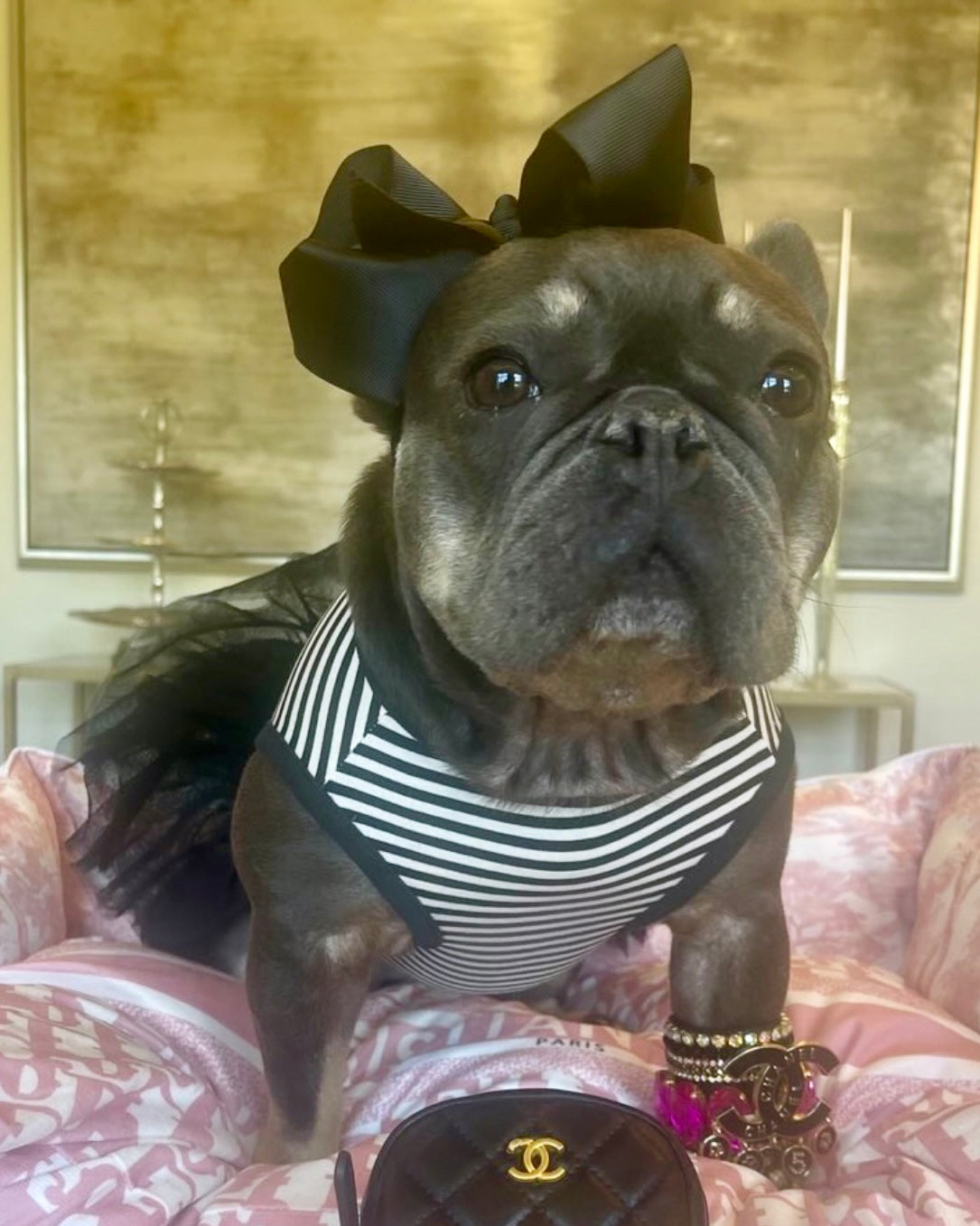 Chewnel Tu Dress