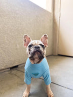 Pa Lu Turtle Neck Top