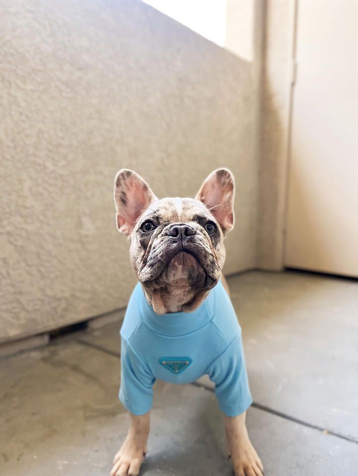 Pa Lu Turtle Neck Top