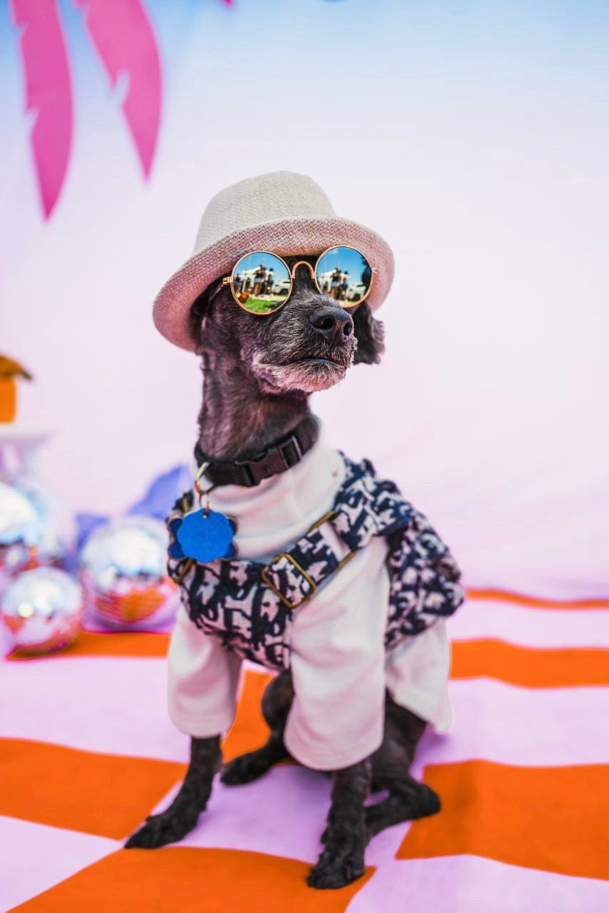 The Basics Soft Stretchy Everyday Dog Top