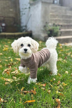 The Basics Soft Stretchy Everyday Dog Top