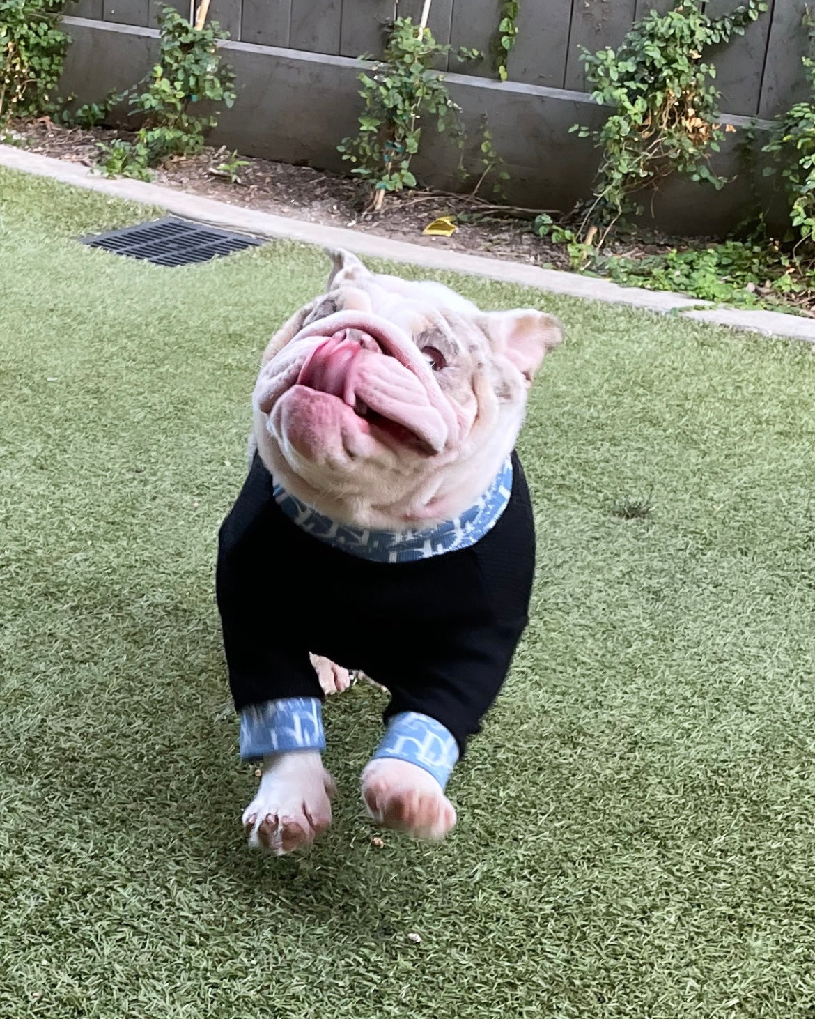 Lux Do Turtle Neck Top