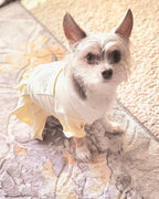 Preppy P Dress