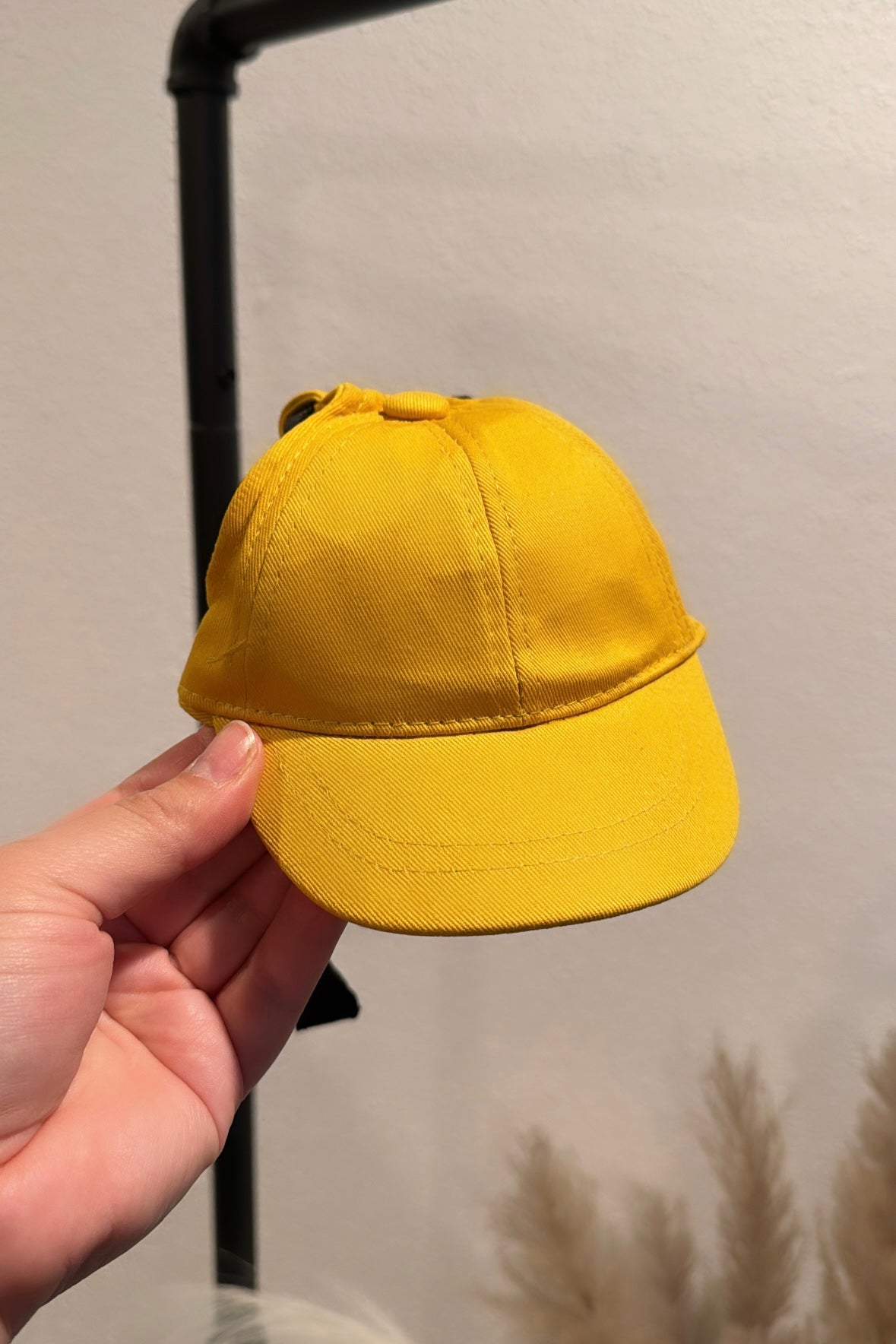 Sporty Dog Baseball Cap Hat