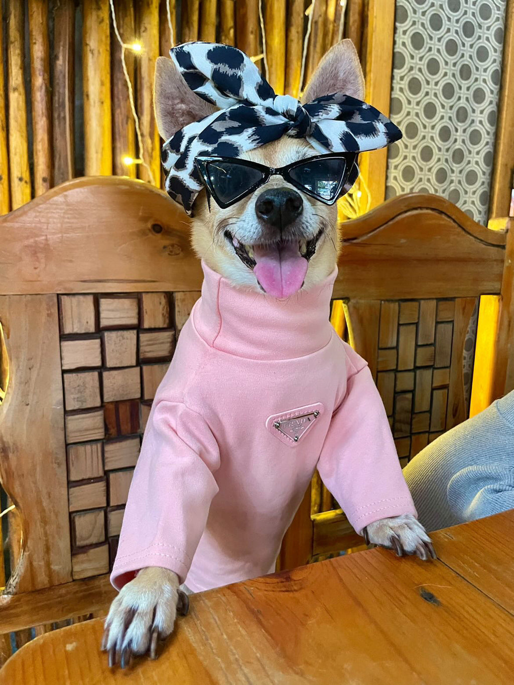 Pa Lu Turtle Neck Top