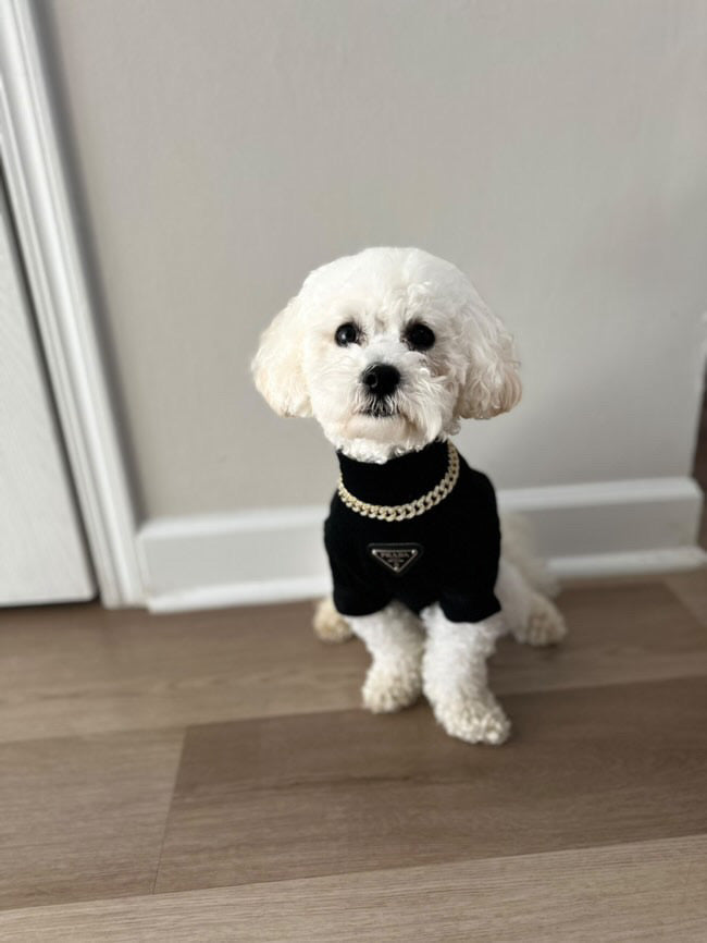Pa Lu Turtle Neck Top