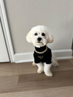 Pa Lu Turtle Neck Top