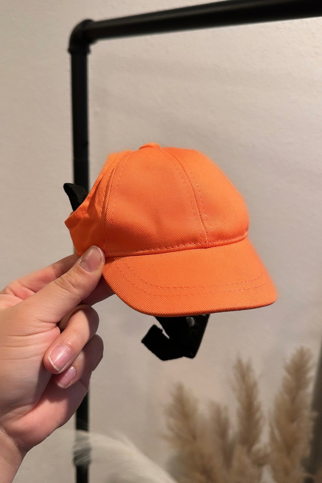 Sporty Dog Baseball Cap Hat