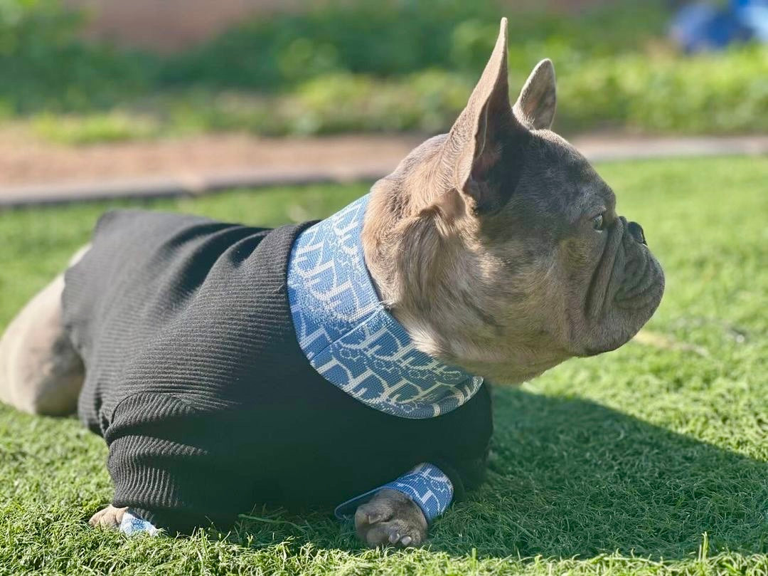 Lux Do Turtle Neck Top