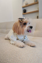 Knitted High Neck Dog Top with Ruffled Trim