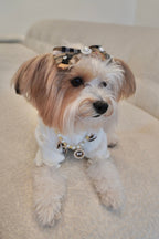 Knitted High Neck Dog Top with Ruffled Trim