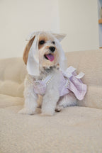 Spring Fling Queen Dress  Lilac Tweed Dog Dress