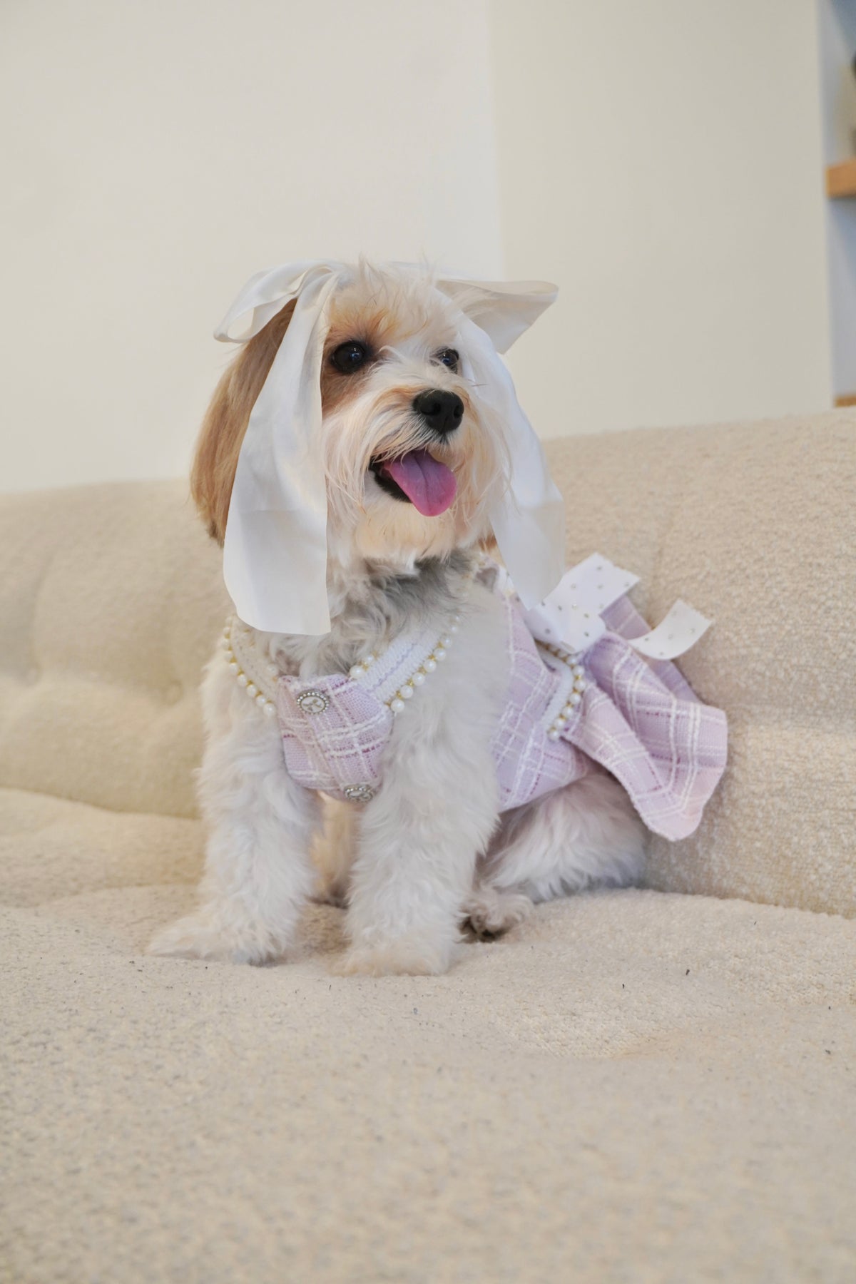 Spring Fling Queen Dress  Lilac Tweed Dog Dress