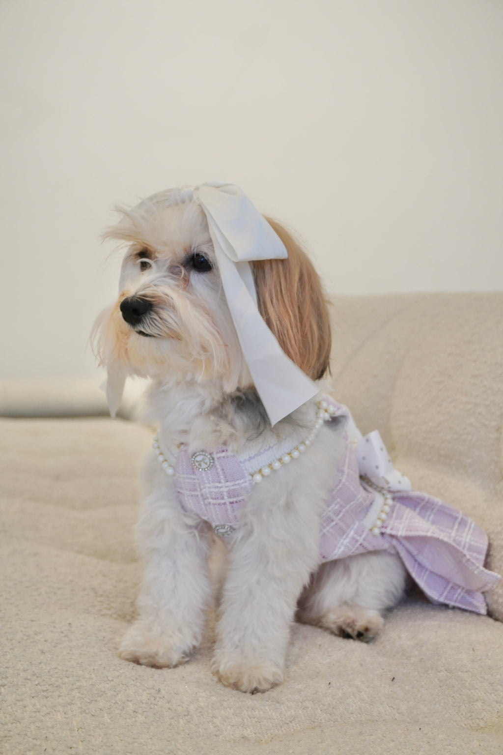 Spring Fling Queen Dress  Lilac Tweed Dog Dress