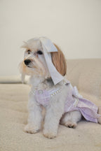 Spring Fling Queen Dress  Lilac Tweed Dog Dress