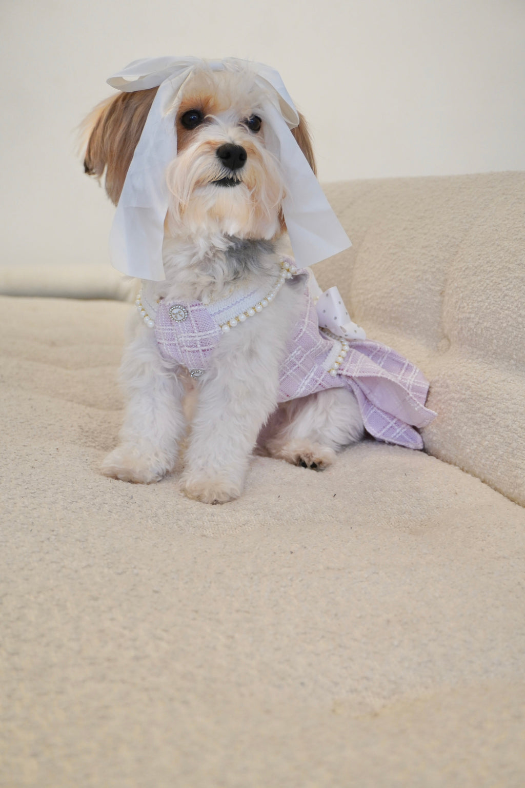 Spring Fling Queen Dress  Lilac Tweed Dog Dress