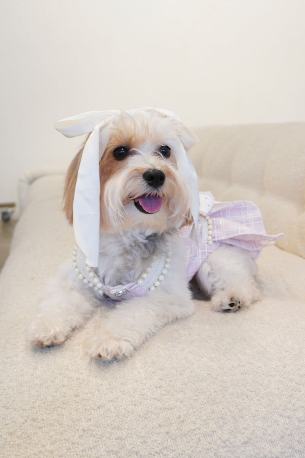 Spring Fling Queen Dress  Lilac Tweed Dog Dress