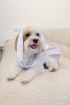 Spring Fling Queen Dress  Lilac Tweed Dog Dress