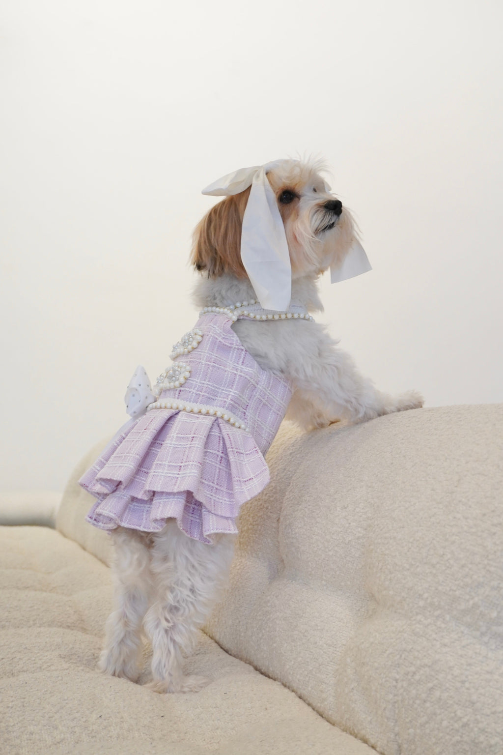 Spring Fling Queen Dress  Lilac Tweed Dog Dress