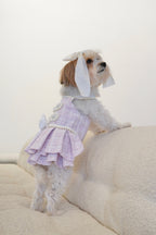 Spring Fling Queen Dress  Lilac Tweed Dog Dress
