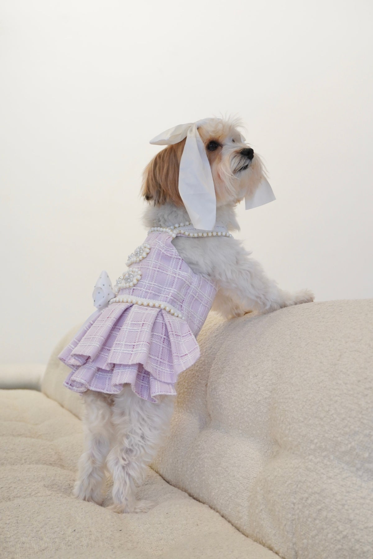 Spring Fling Queen Dress  Lilac Tweed Dog Dress