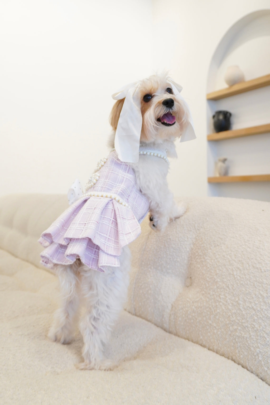 Spring Fling Queen Dress  Lilac Tweed Dog Dress
