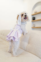 Spring Fling Queen Dress  Lilac Tweed Dog Dress